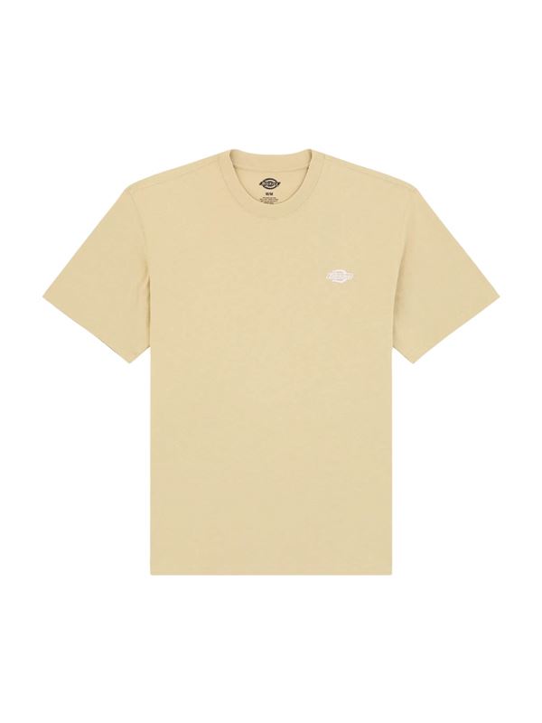 Dickies T-shirt Summerdale Eucalipto