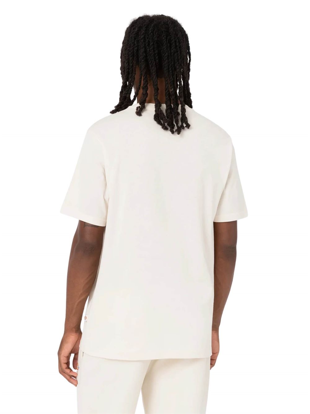 Dickies T-shirt Mapleton Lightweight Grigio Spuma Retro