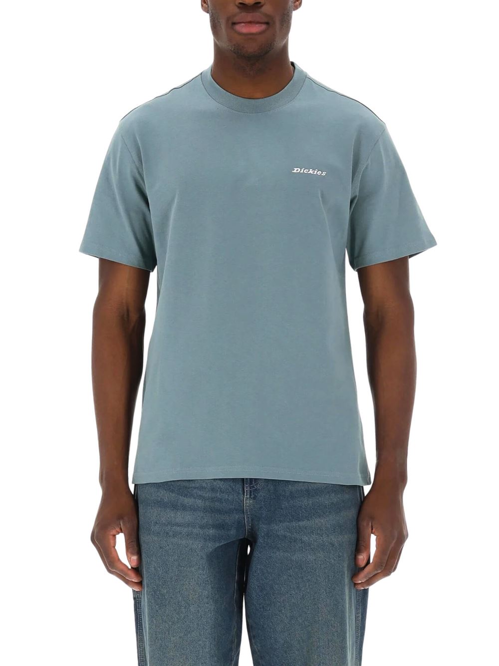 Dickies T-shirt Loretto Mare in Tempesta Frontale