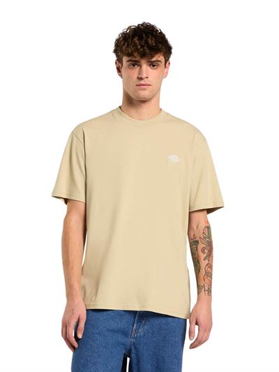 Dickies T-shirt Summerdale Eucalipto Frontale