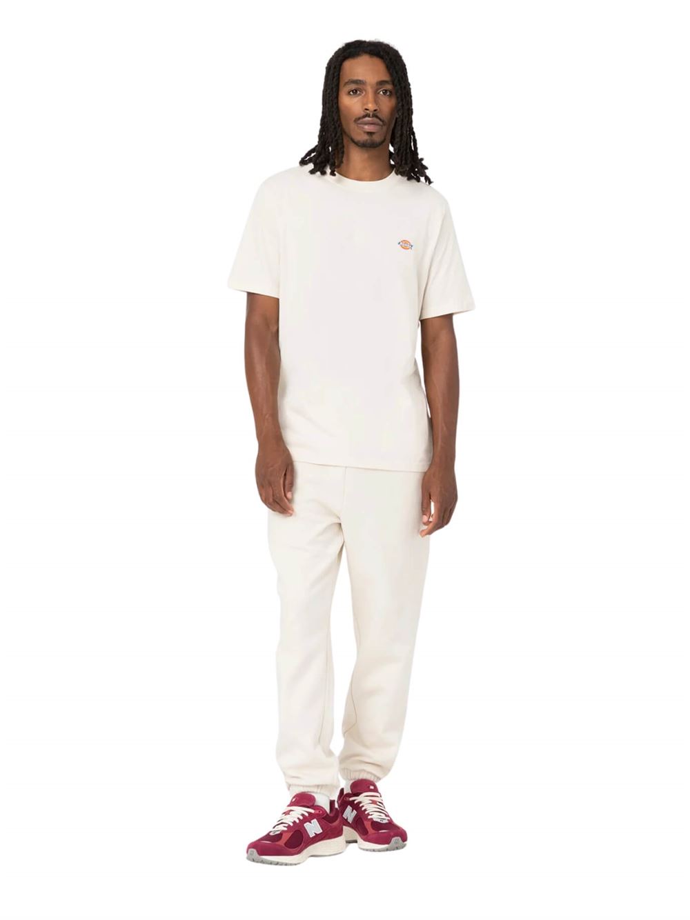 Dickies T-shirt Mapleton Lightweight Grigio Spuma Frontale Intera