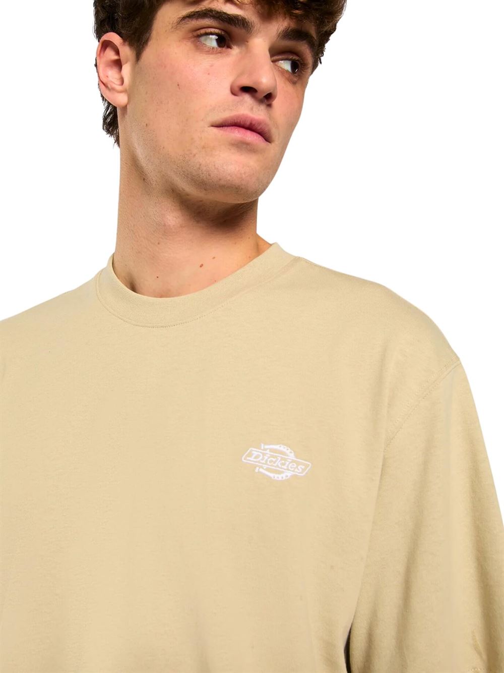 Dickies T-shirt Summerdale Eucalipto Dettaglio