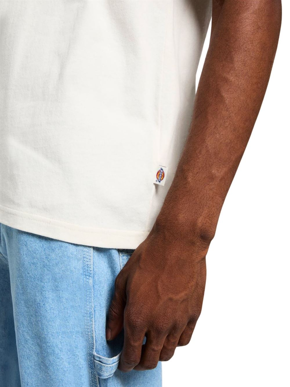 Dickies T-shirt Dry Ridge Airone Logo