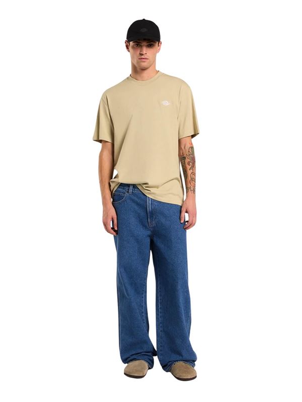 Dickies T-shirt Summerdale Eucalipto Frontale Intera