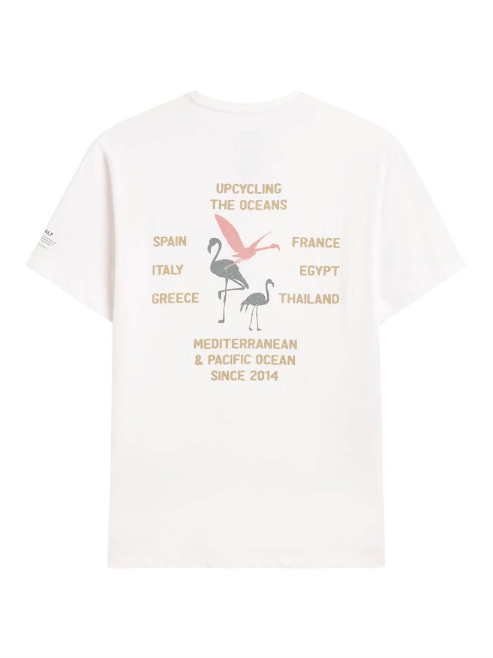 Ecoalf T-shirt Flam Bianco Dettaglio Retro