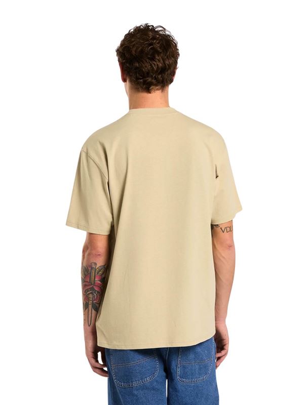 Dickies T-shirt Summerdale Eucalipto Dettaglio Retro