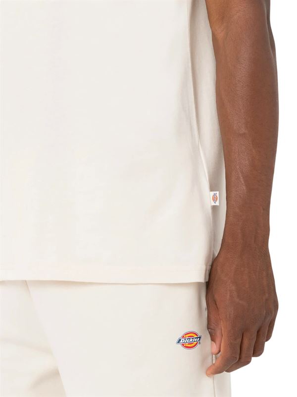 Dickies T-shirt Mapleton Lightweight Grigio Spuma Logo